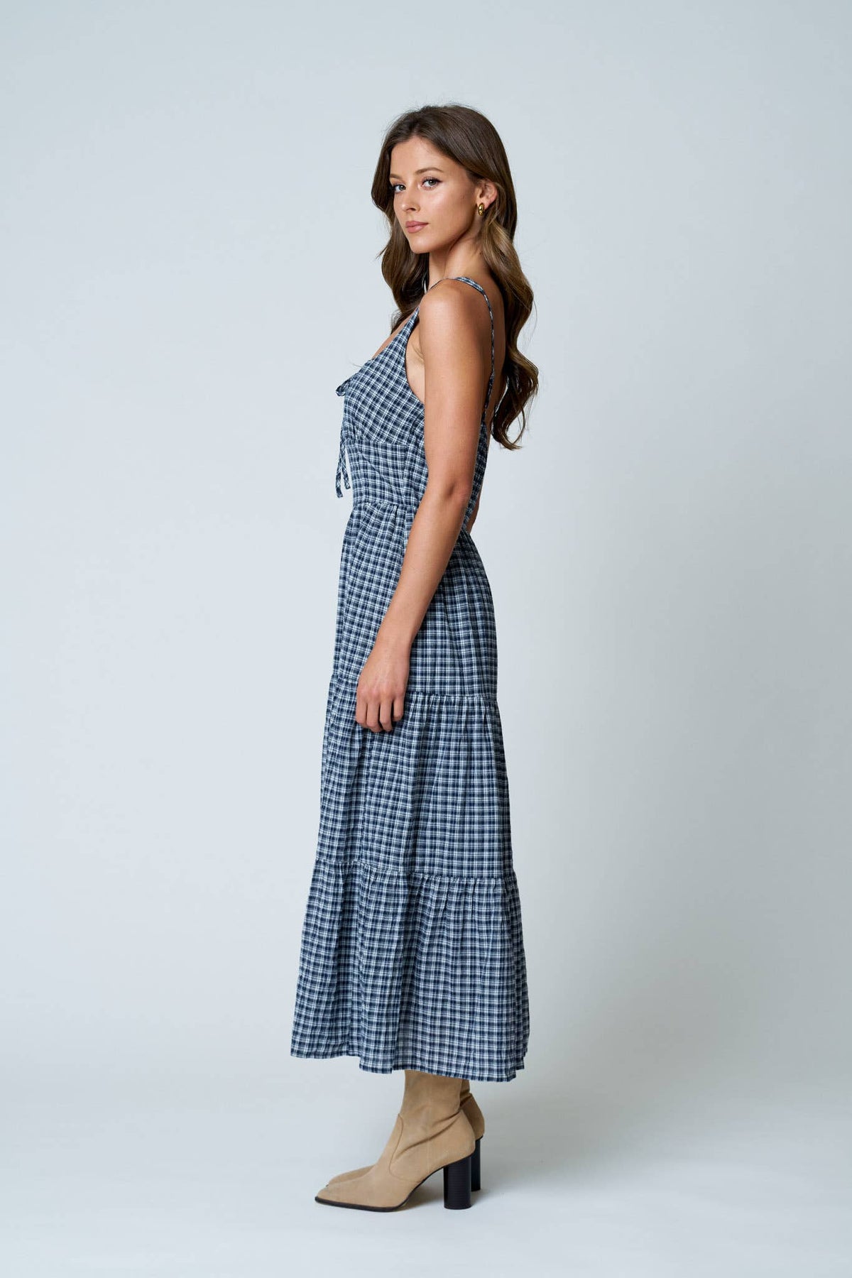 The Blue Ridge Plaid Dress