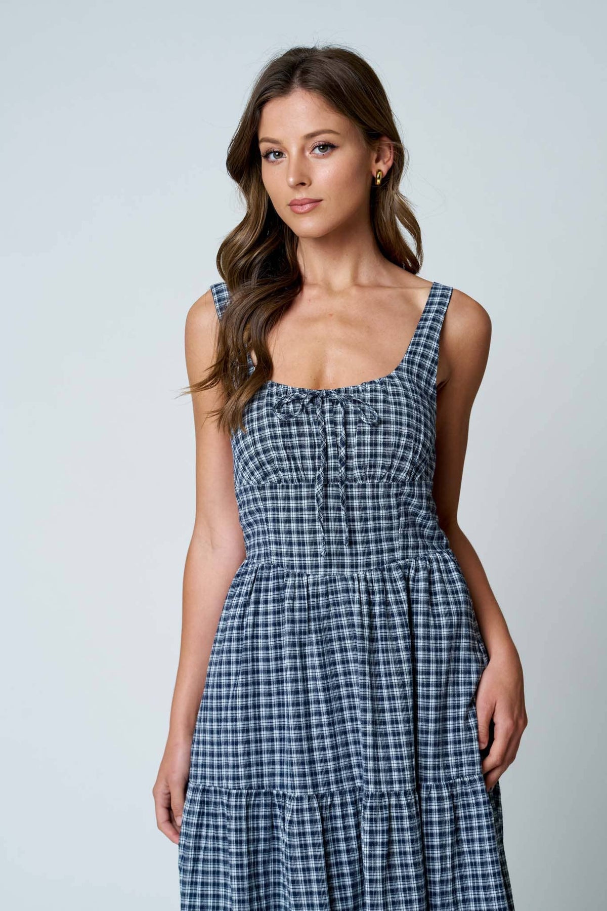 The Blue Ridge Plaid Dress